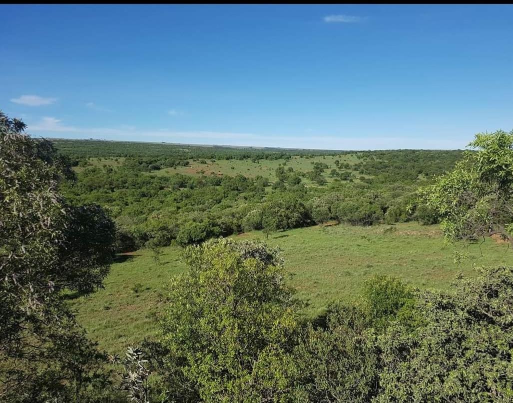Kareekloof Game Farm Βίλα Derby Εξωτερικό φωτογραφία