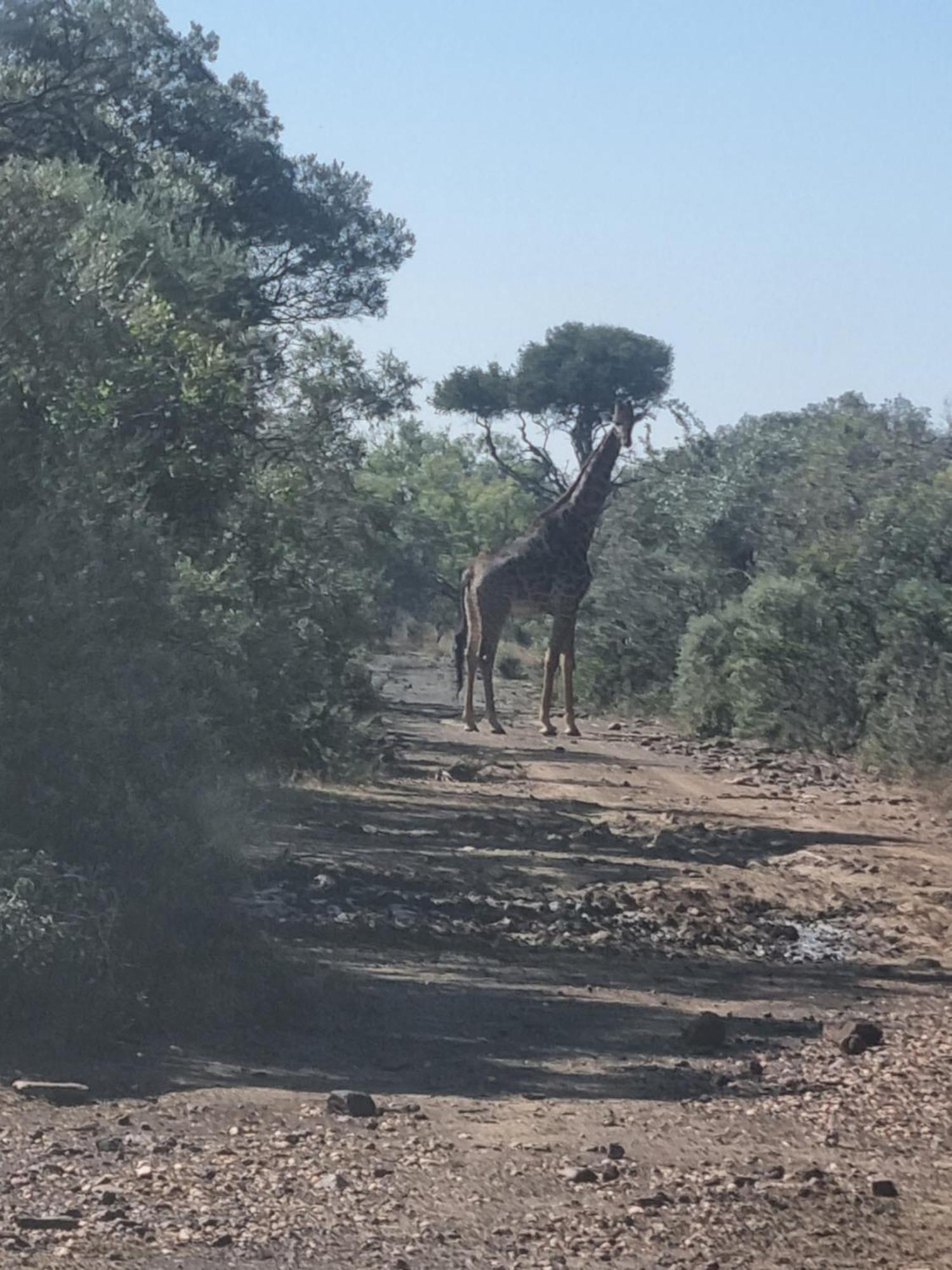 Kareekloof Game Farm Βίλα Derby Εξωτερικό φωτογραφία
