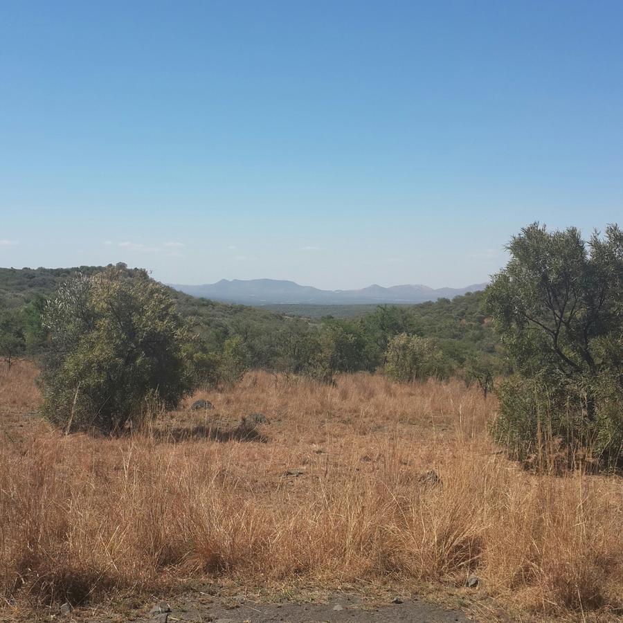 Kareekloof Game Farm Βίλα Derby Εξωτερικό φωτογραφία